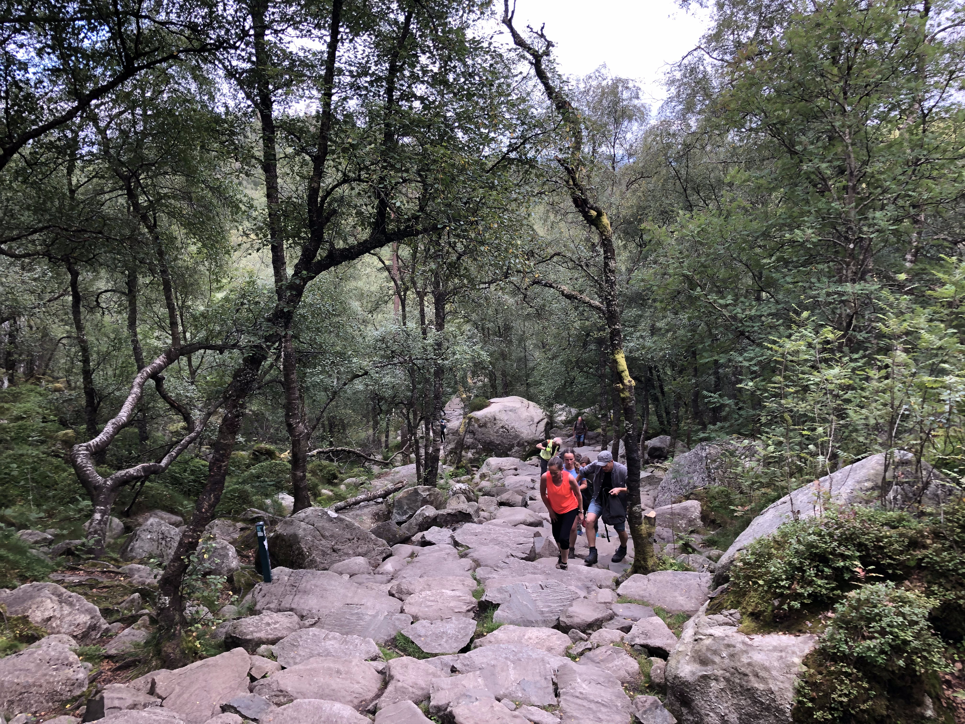 Stufen zum Preikestolen